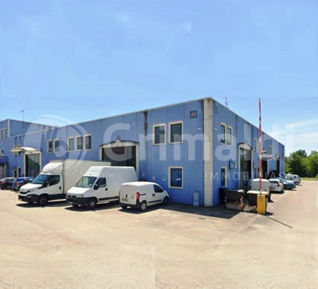 immagine annuncio 2 di 10