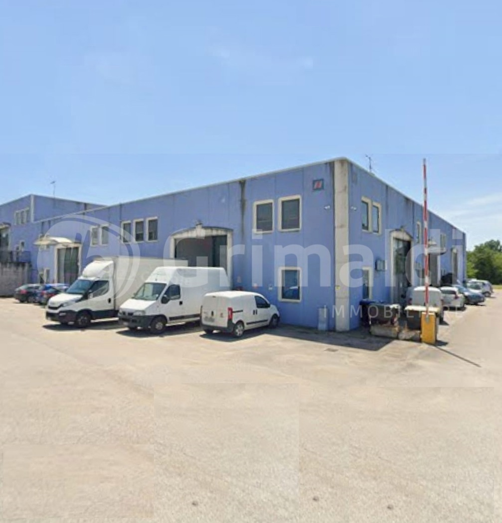 immagine annuncio 3 di 10