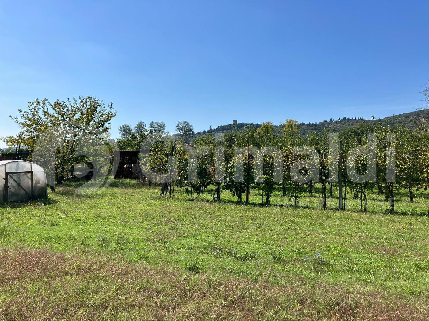 immagine annuncio 1 di 9