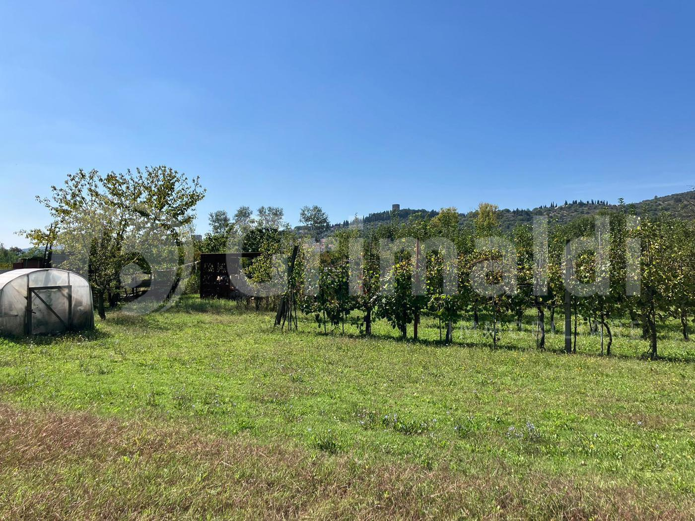 immagine annuncio 3 di 9