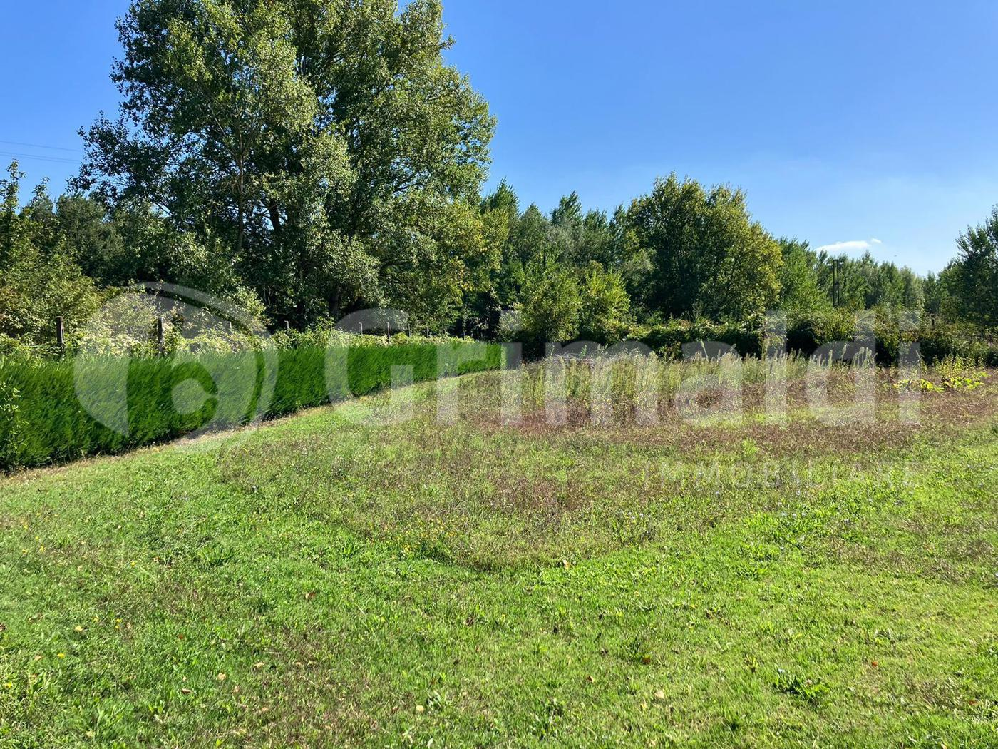 immagine annuncio 7 di 9