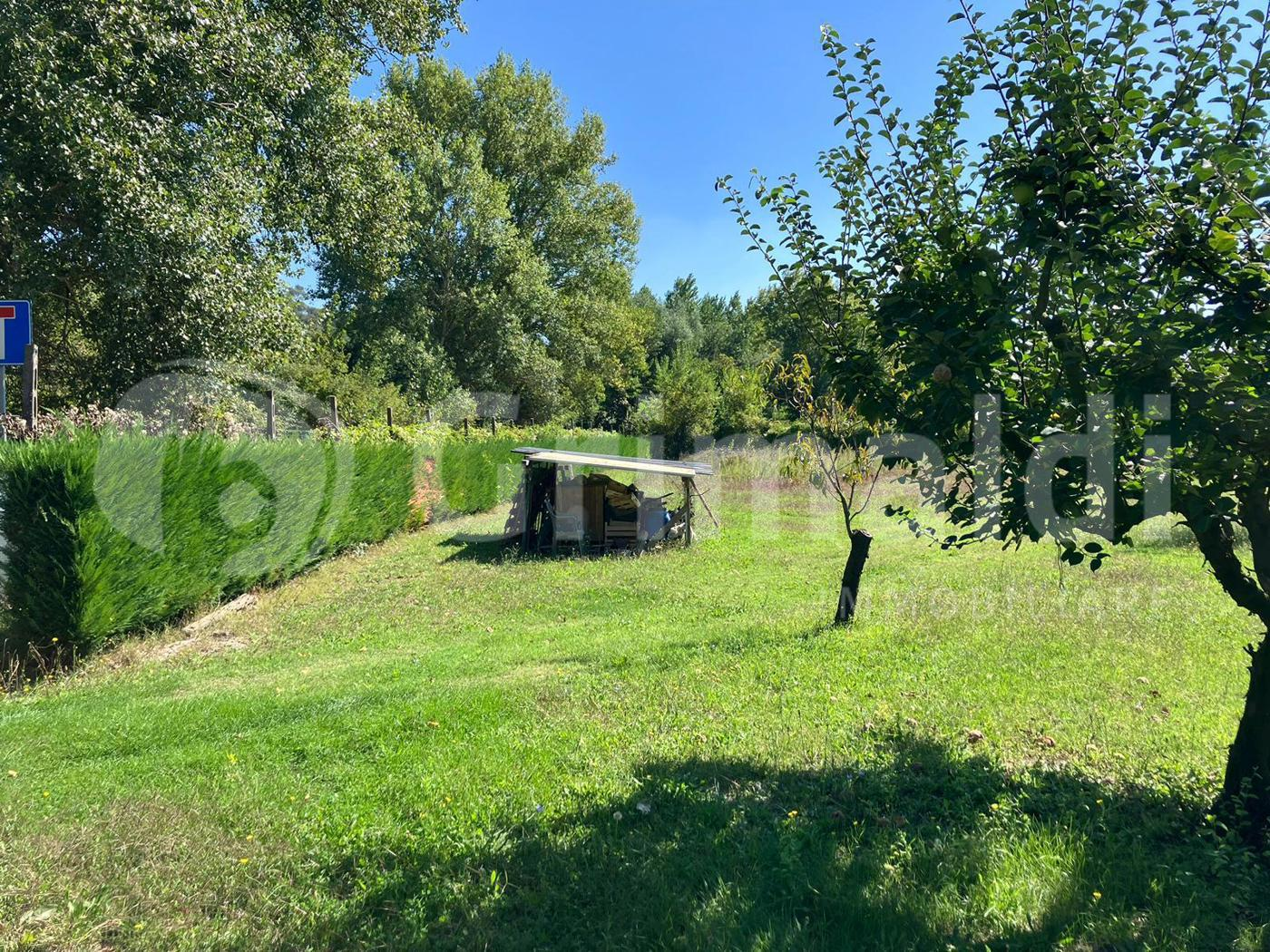 immagine annuncio 5 di 9