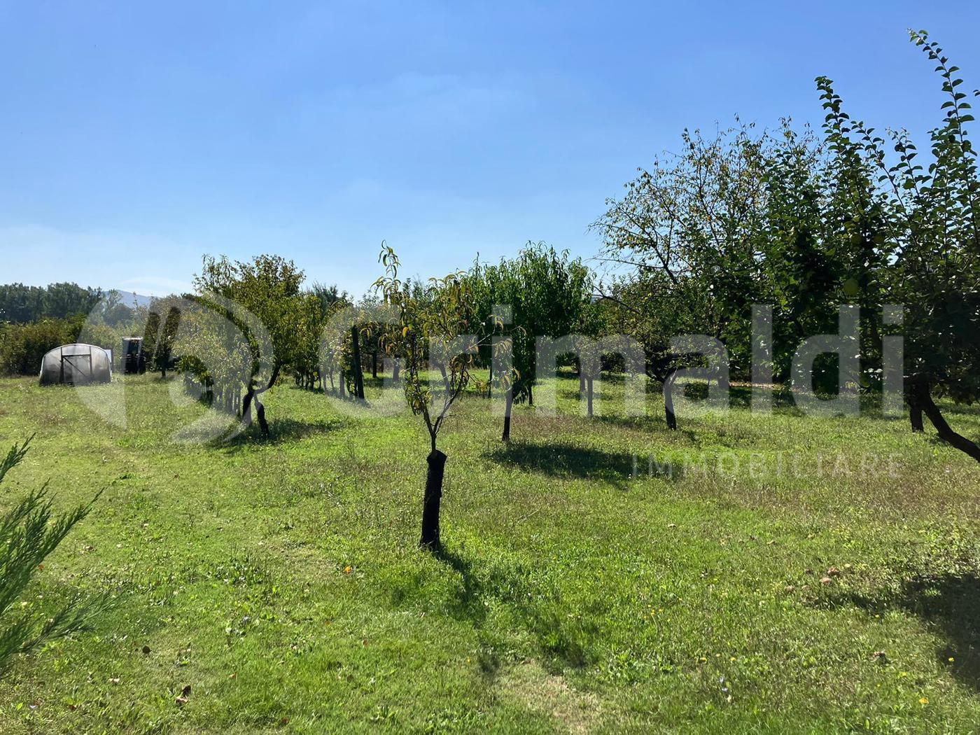 immagine annuncio 6 di 9