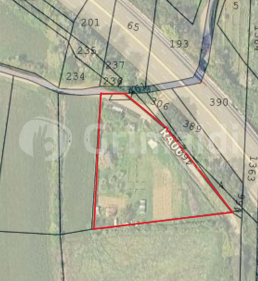 immagine annuncio 4 di 9