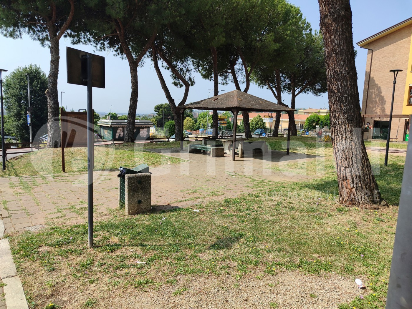 immagine annuncio 6 di 8