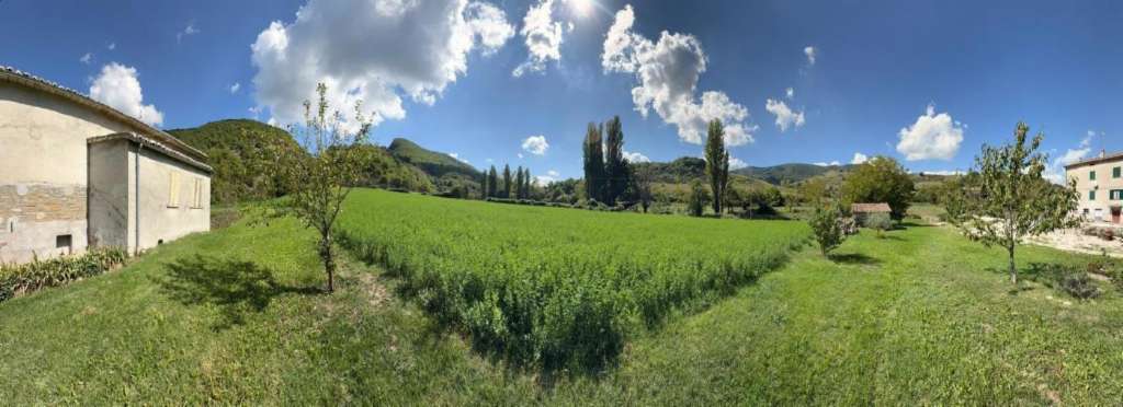 immagine annuncio 9 di 10