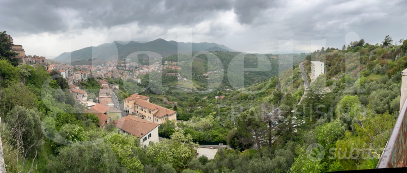 immagine annuncio 2 di 10