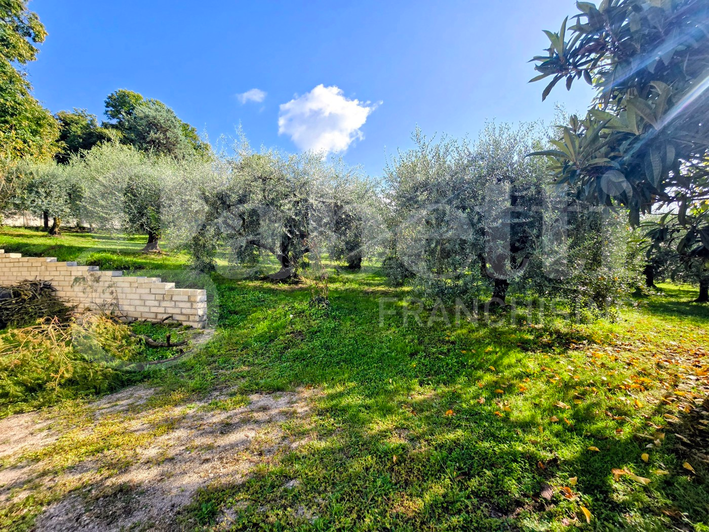 immagine annuncio 4 di 10