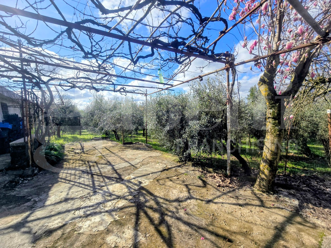 immagine annuncio 3 di 10