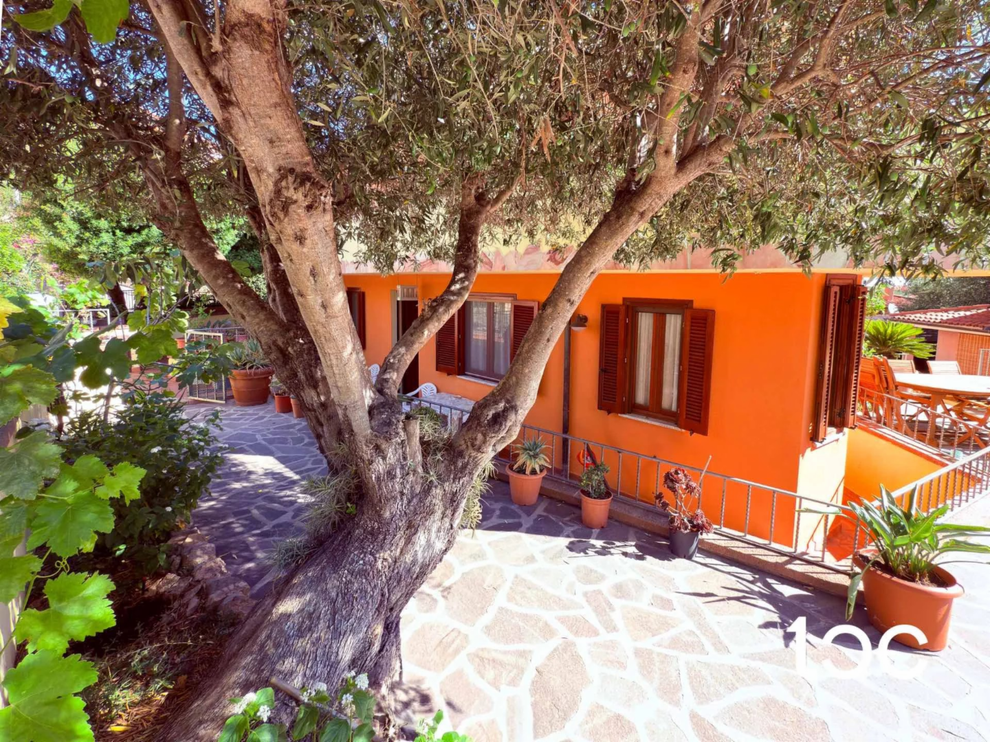 immagine annuncio 3 di 10