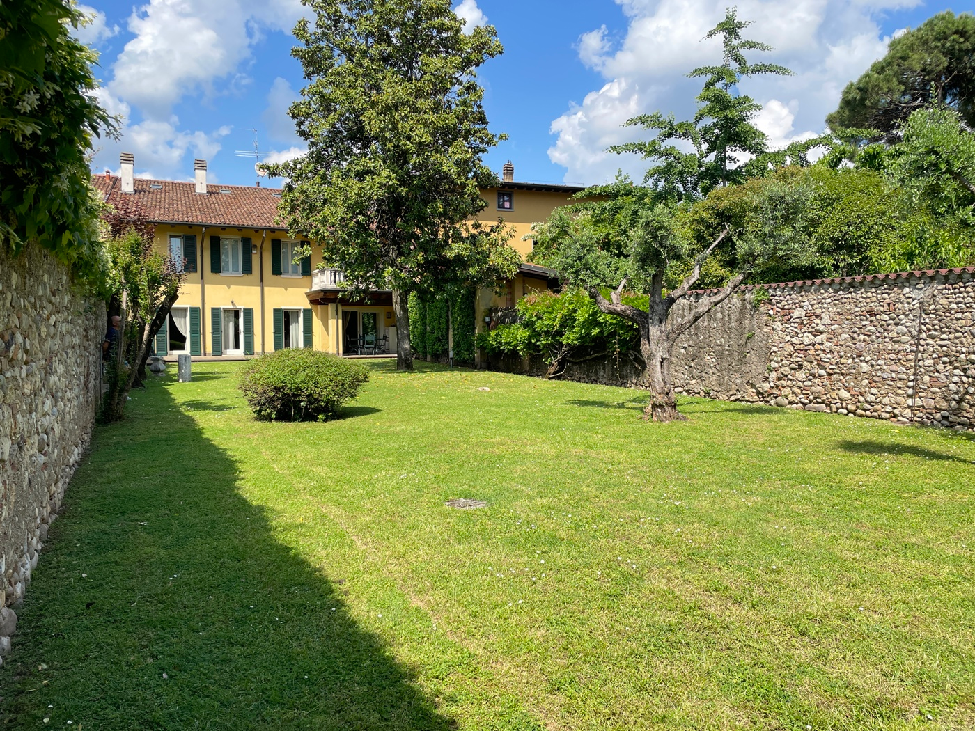 immagine annuncio 1 di 10