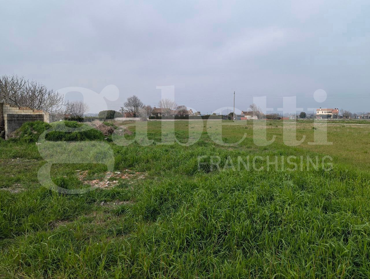 immagine annuncio 7 di 8