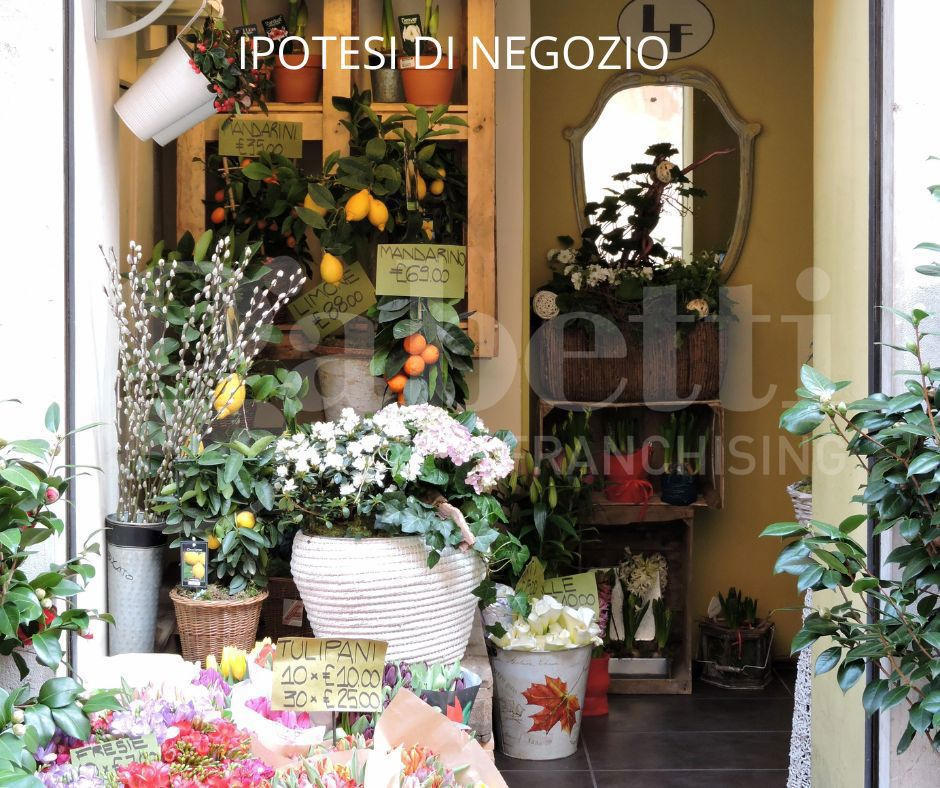 immagine annuncio 2 di 10