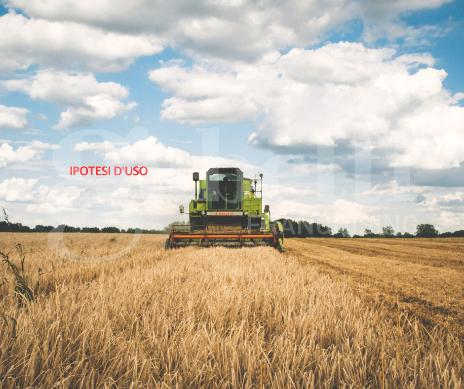 immagine annuncio 8 di 10