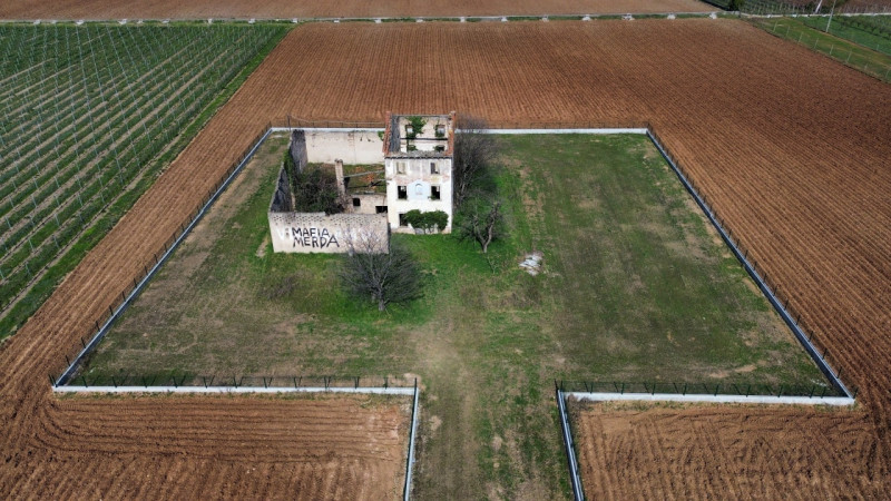 immagine annuncio 2 di 10
