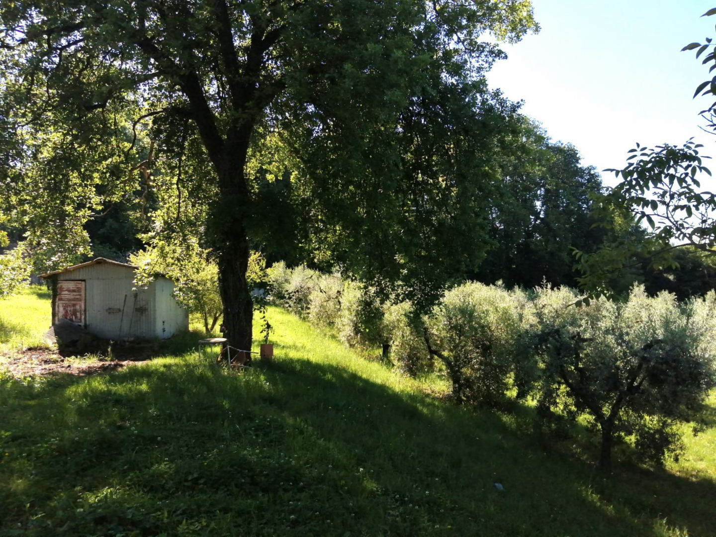 immagine annuncio 3 di 8