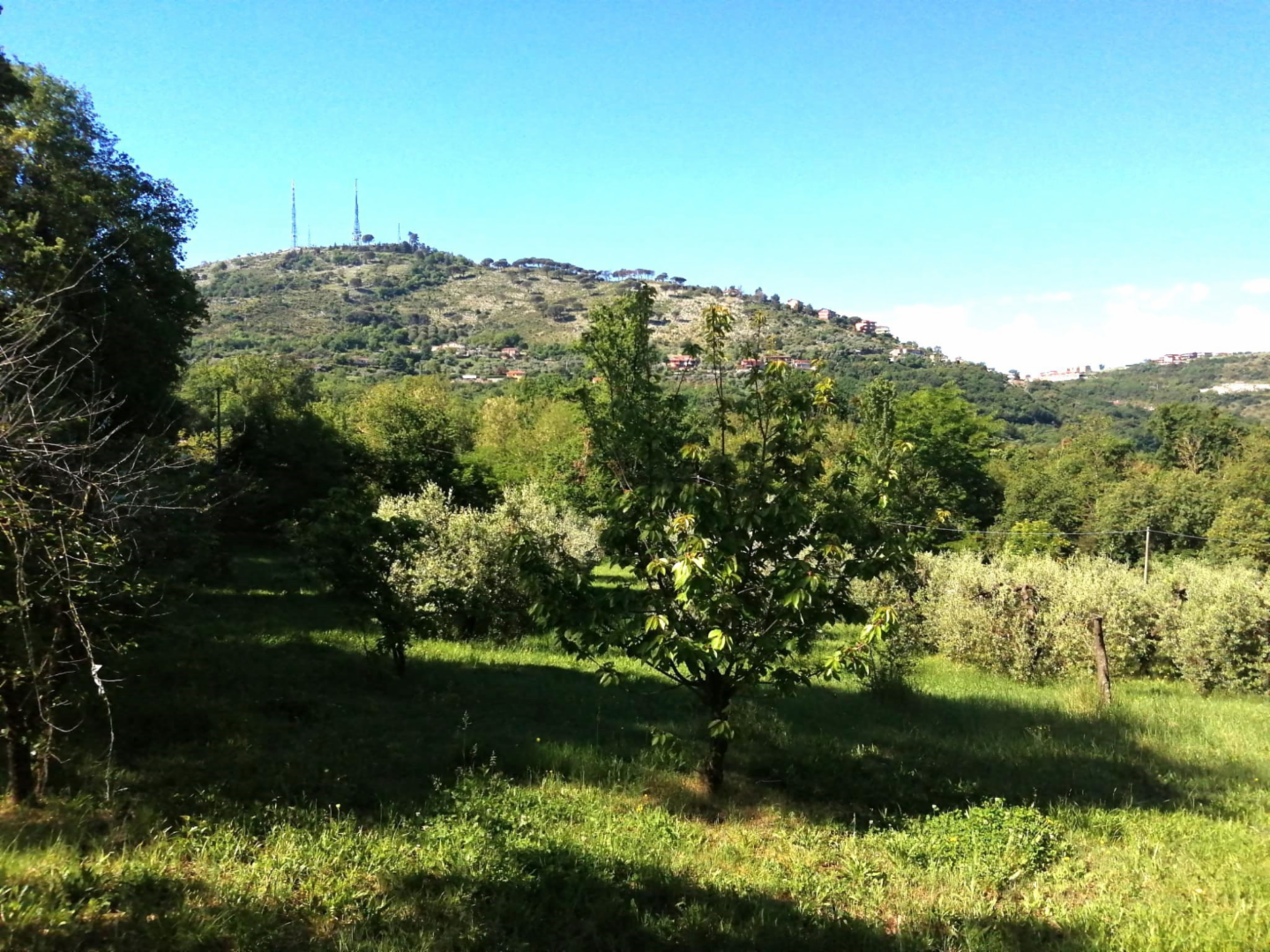 immagine annuncio 1 di 8