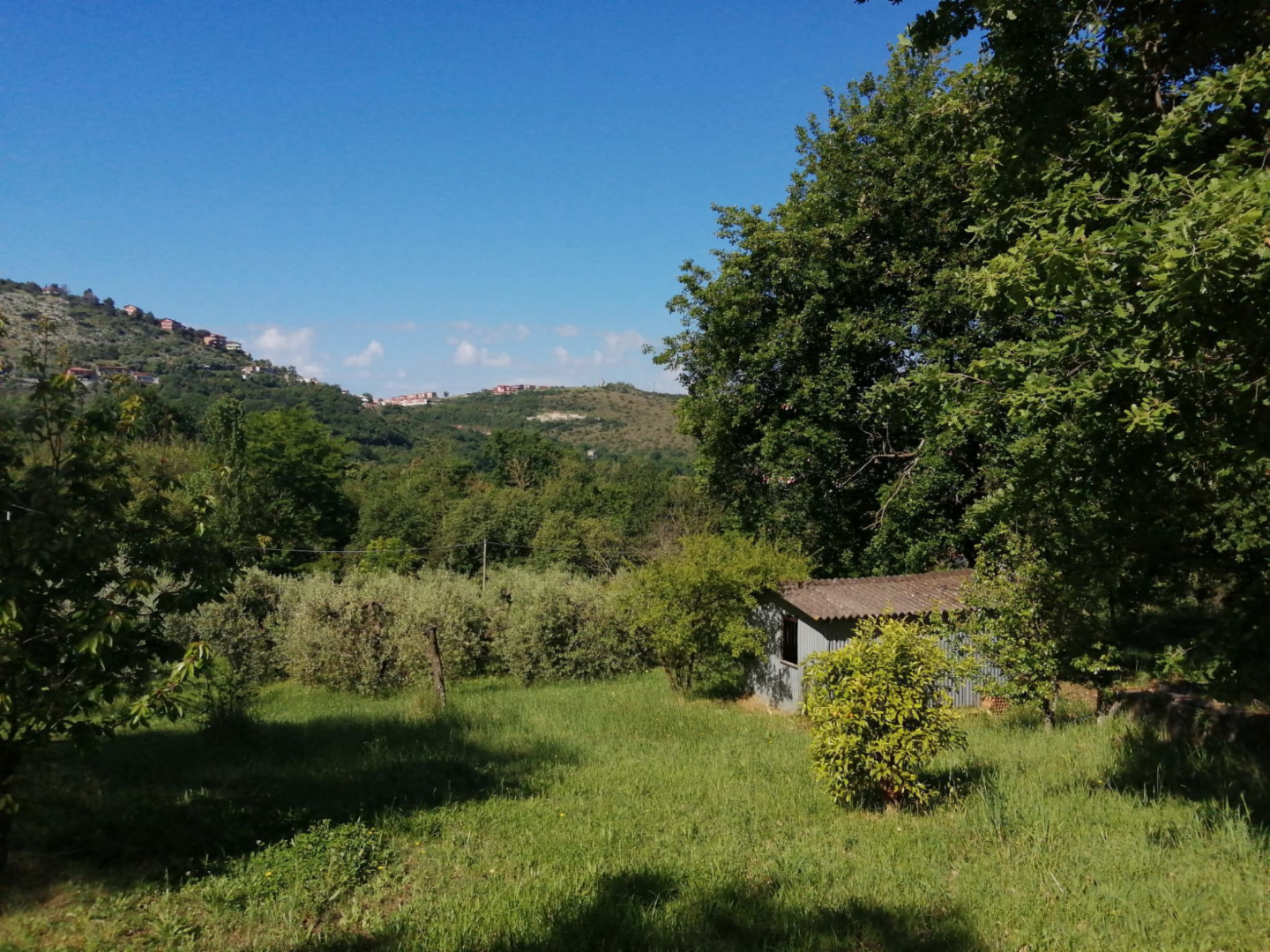 immagine annuncio 2 di 8