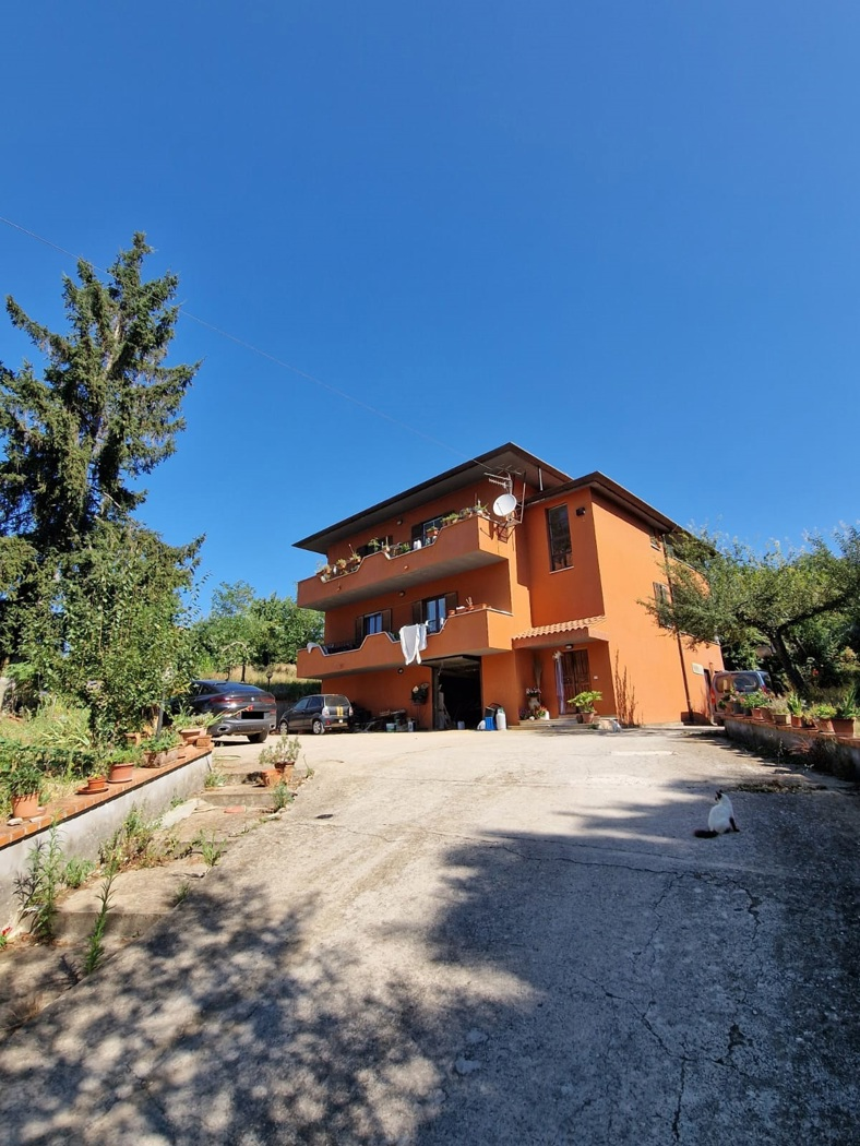immagine annuncio 2 di 3