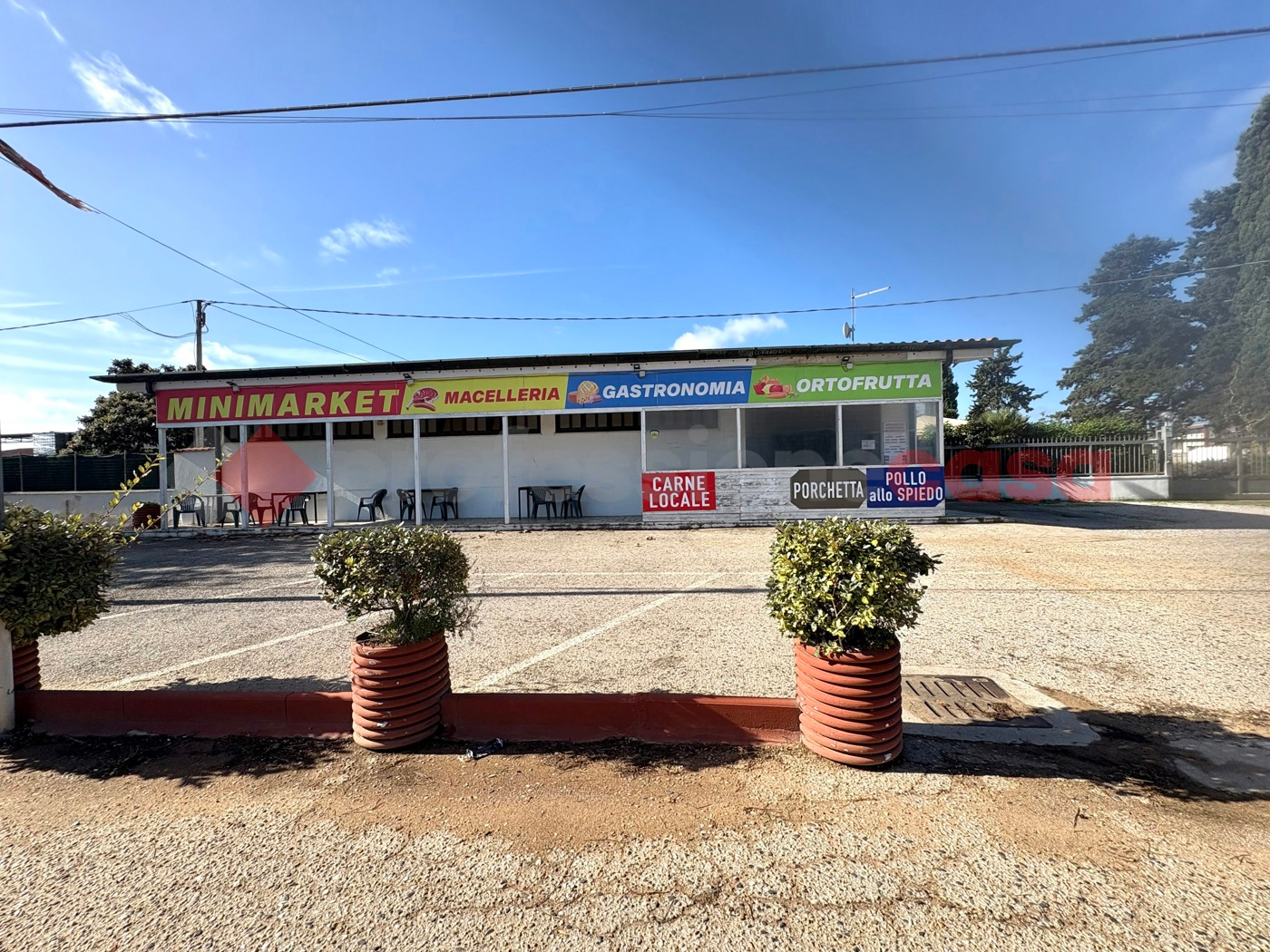 immagine annuncio 1 di 10