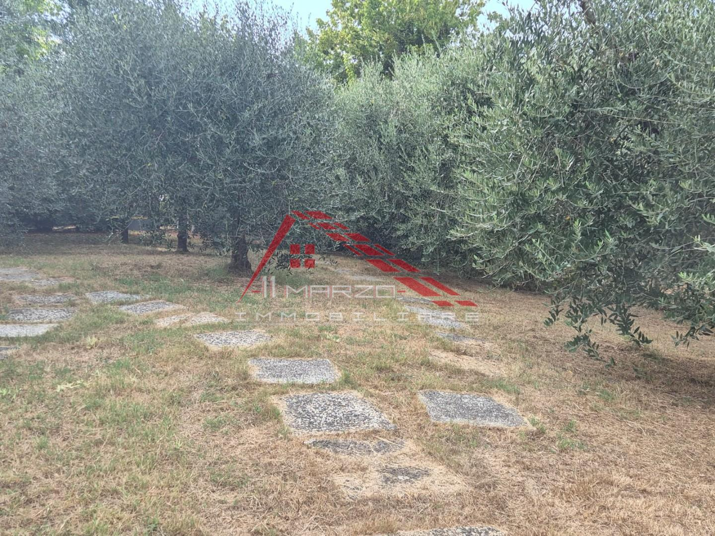 immagine annuncio 3 di 7