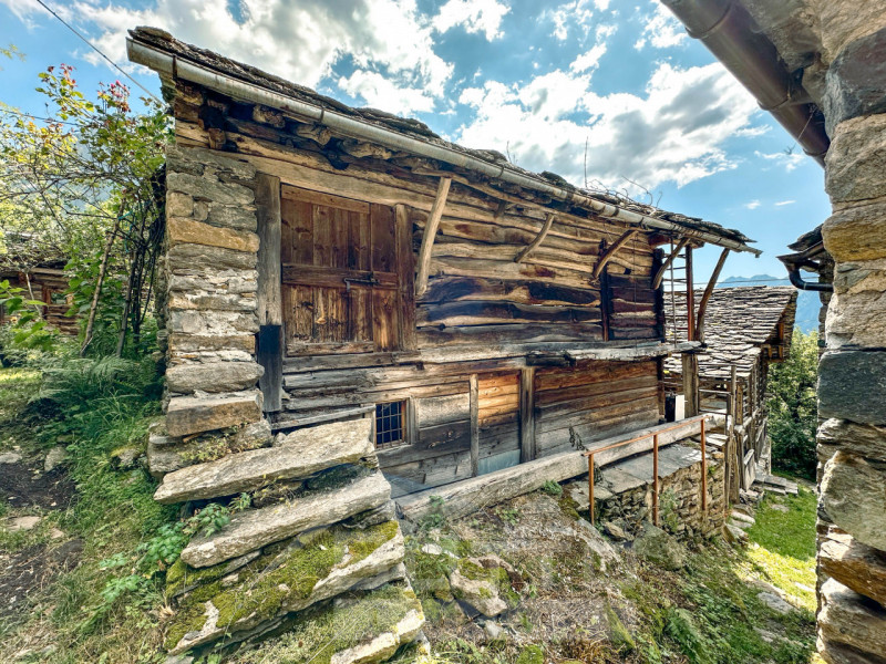 immagine annuncio 6 di 10