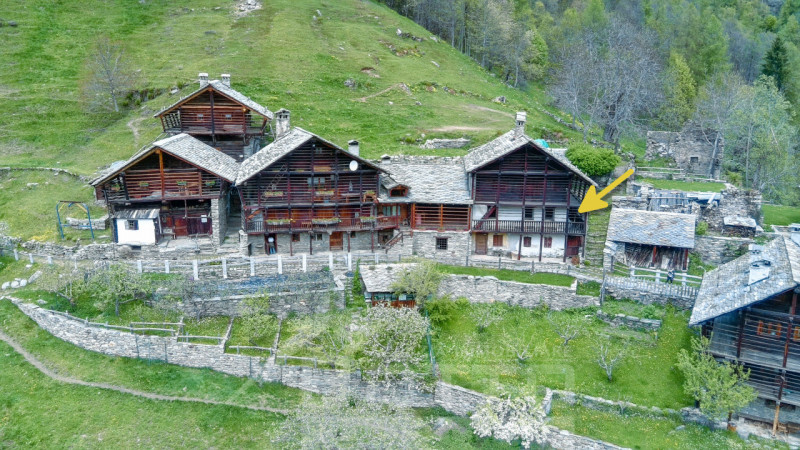 immagine annuncio 1 di 10