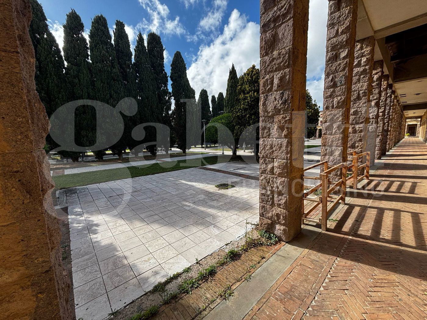 immagine annuncio 2 di 6