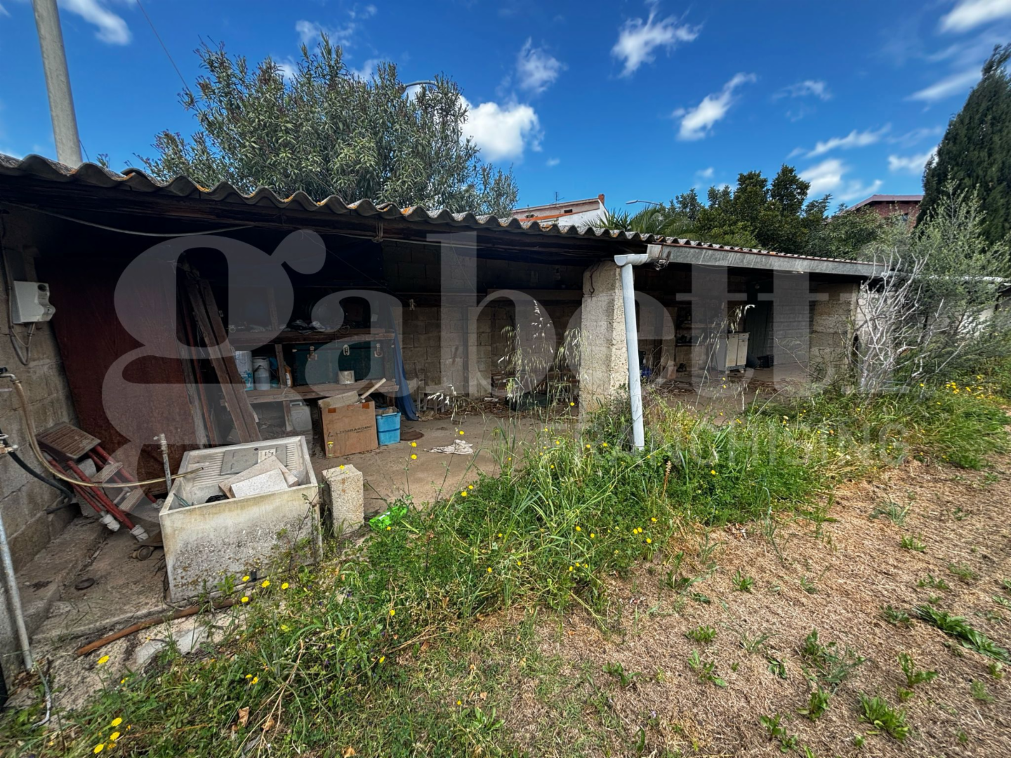 immagine annuncio 2 di 10