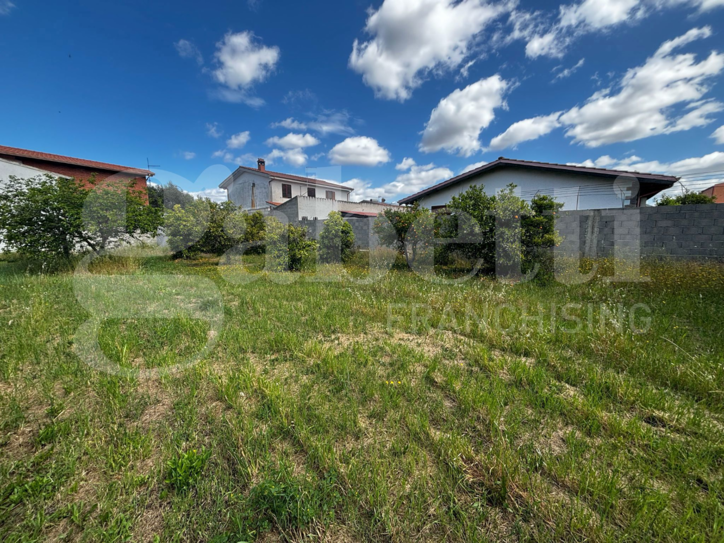 immagine annuncio 5 di 10