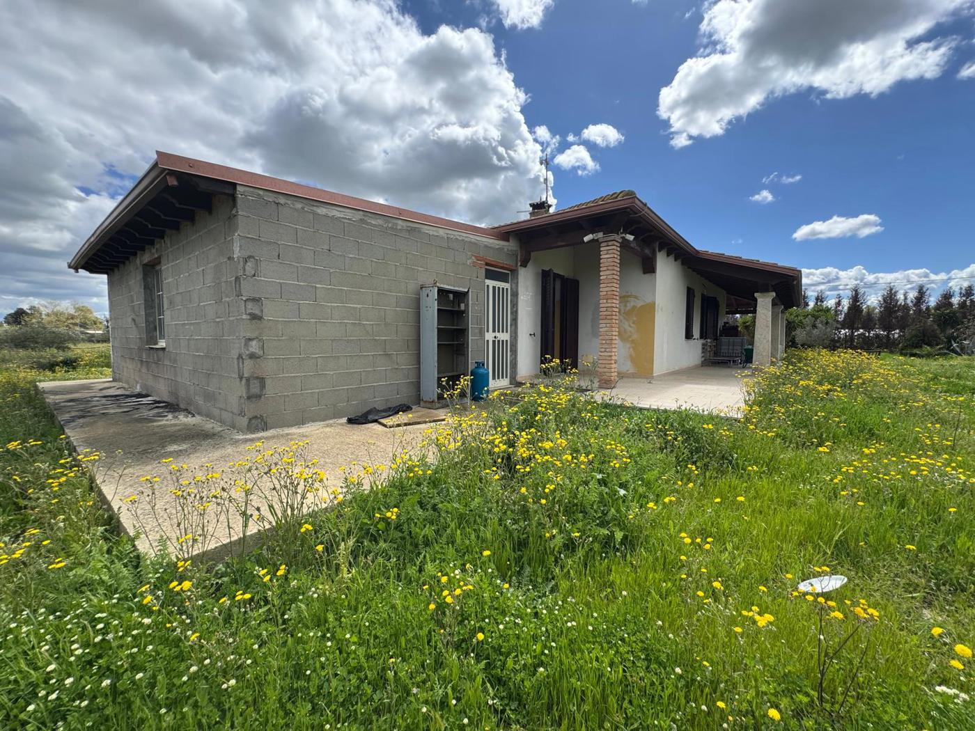 immagine annuncio 1 di 10