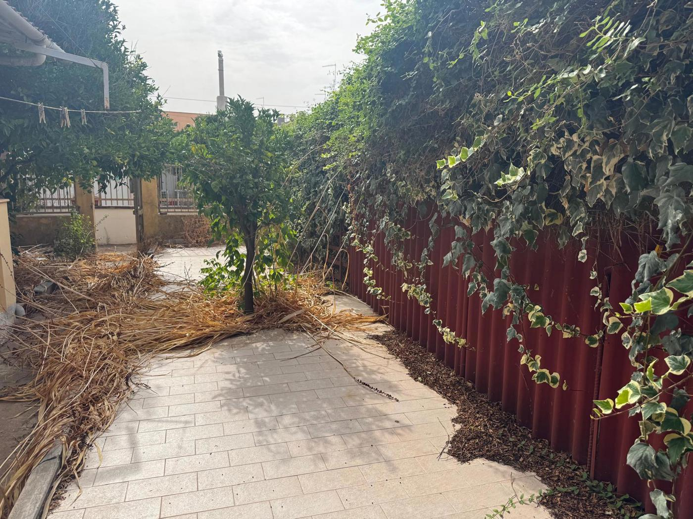 immagine annuncio 2 di 7