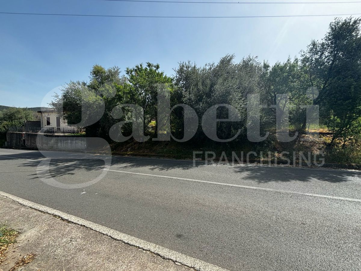 immagine annuncio 1 di 6