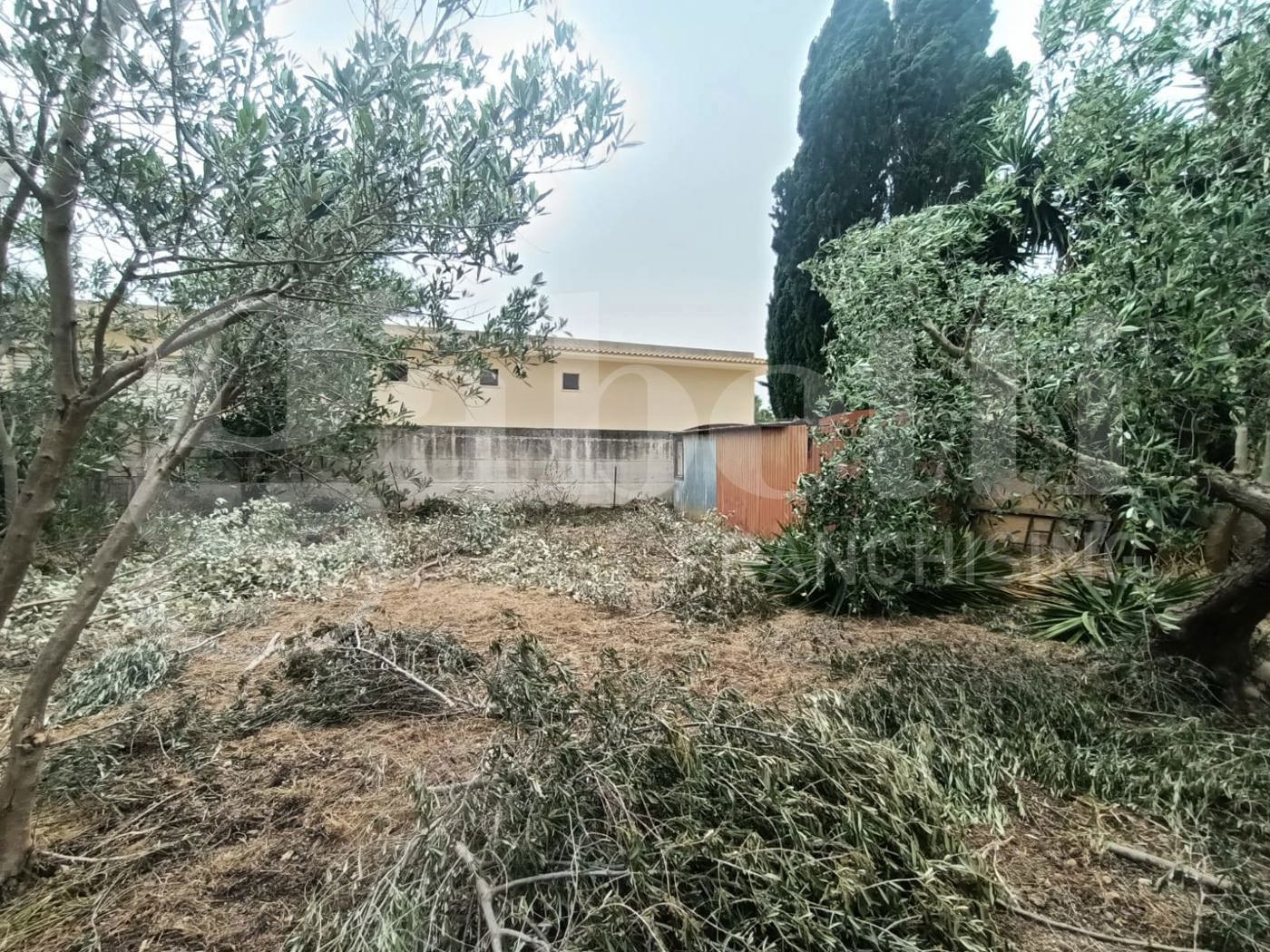 immagine annuncio 2 di 8