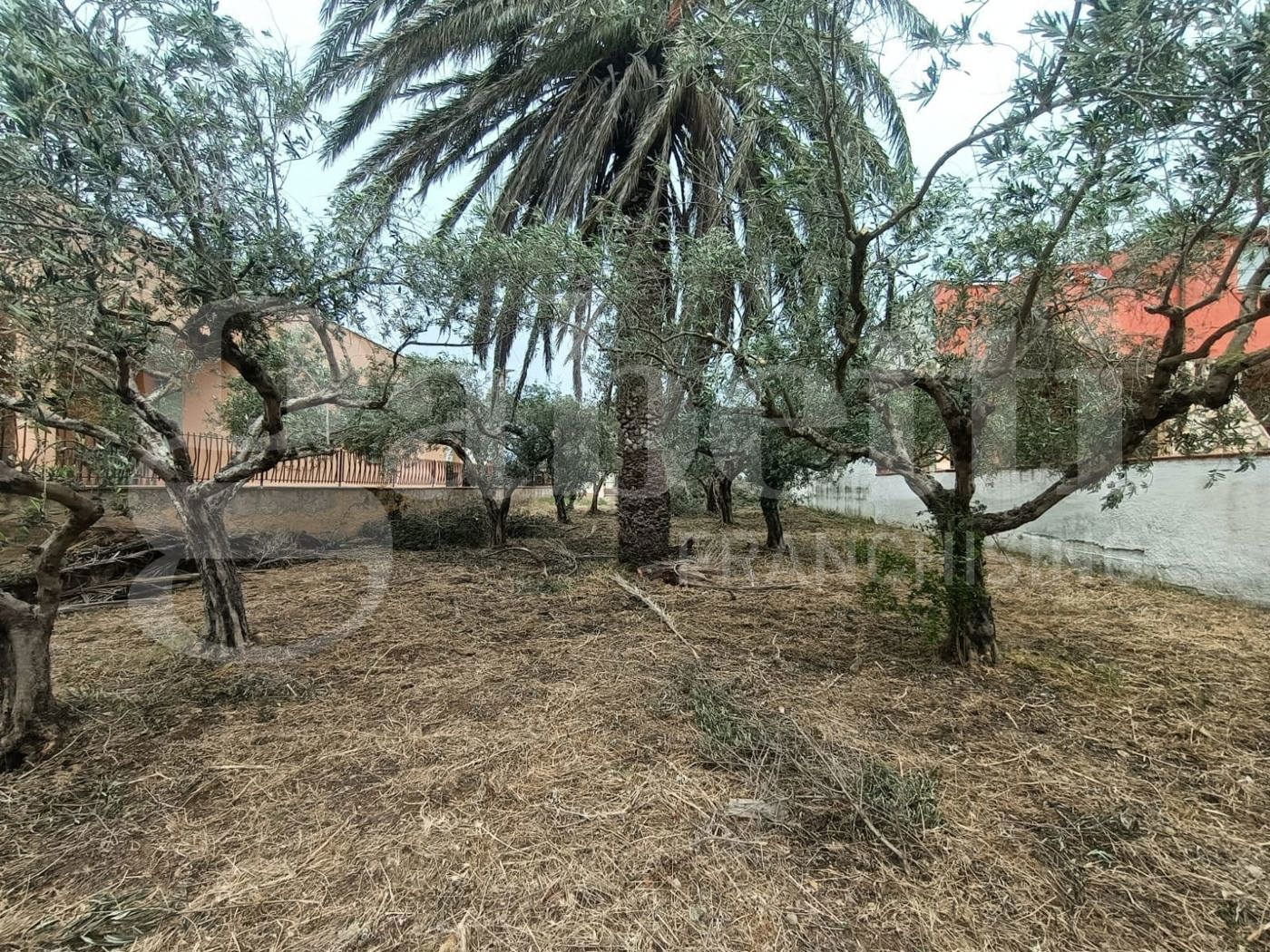 immagine annuncio 6 di 8