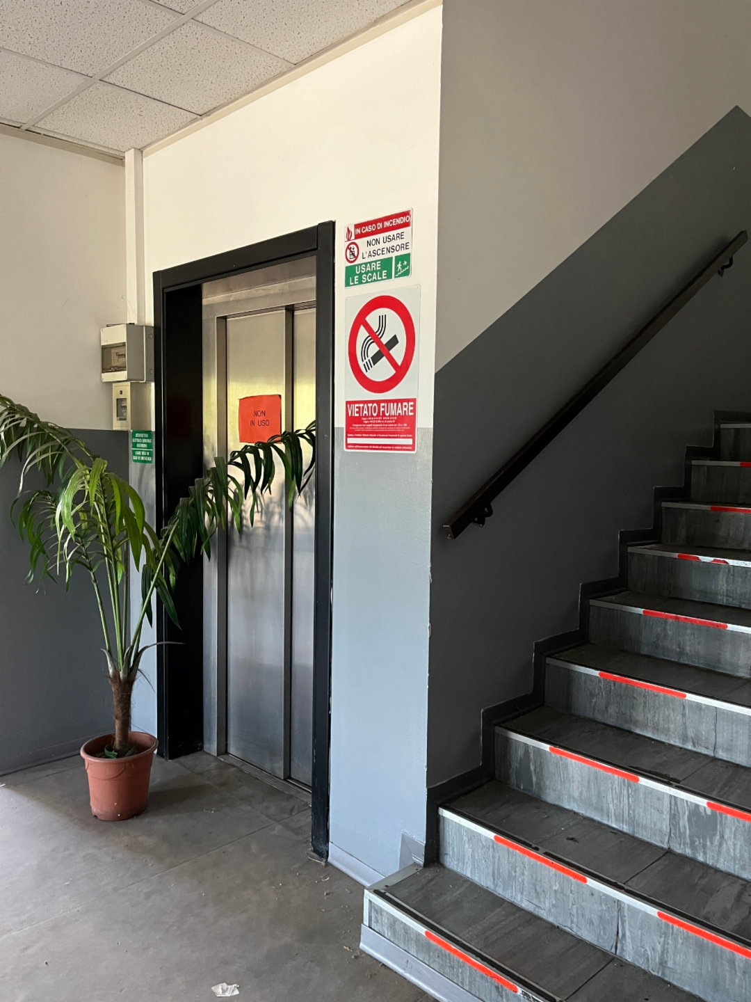 immagine annuncio 9 di 10