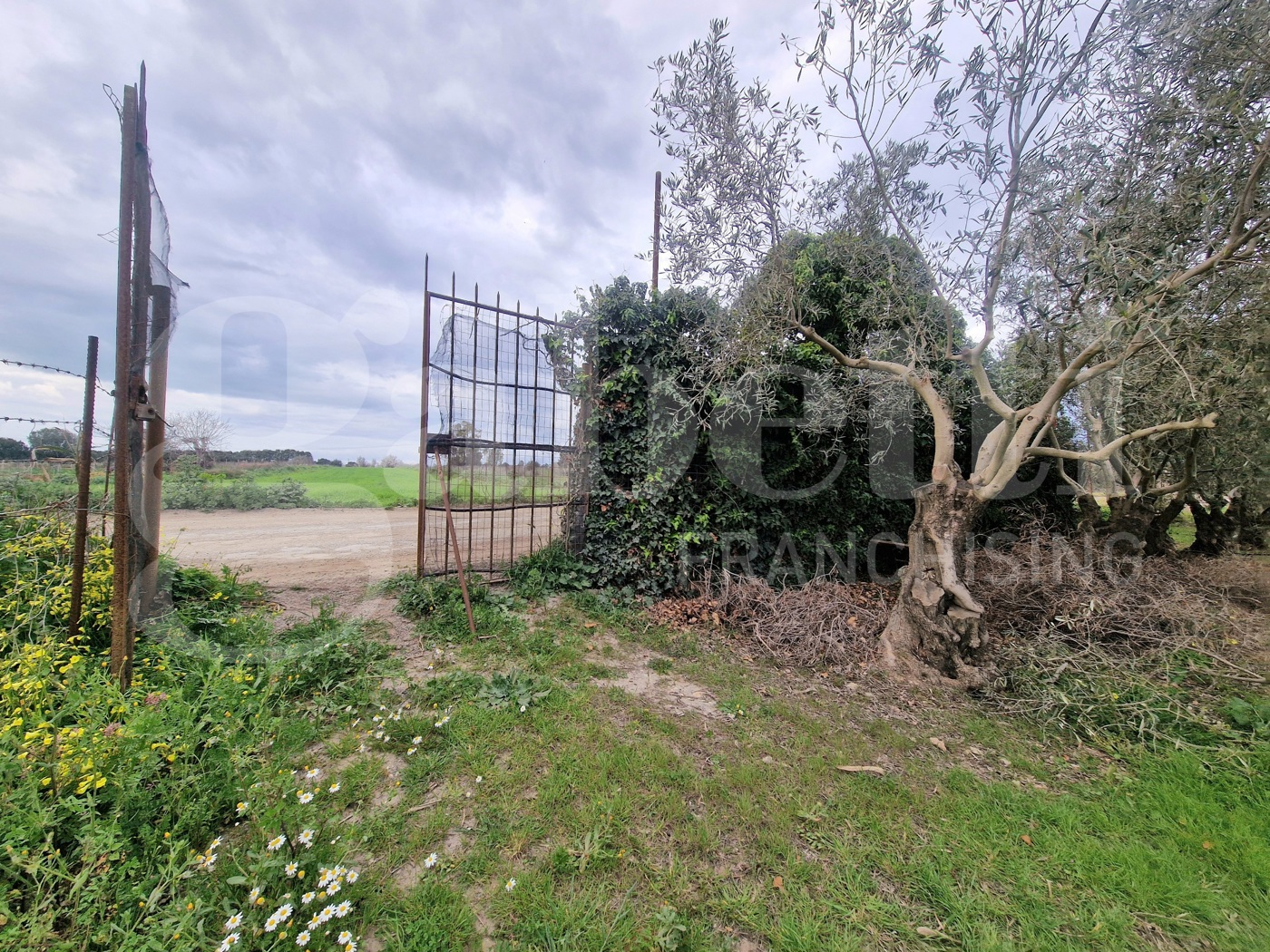 immagine annuncio 2 di 6