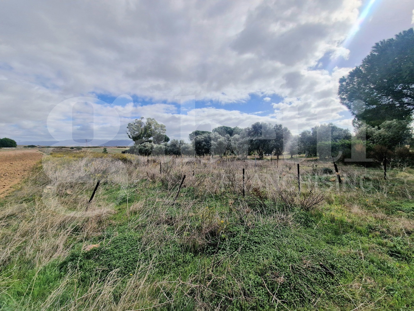 immagine annuncio 1 di 9