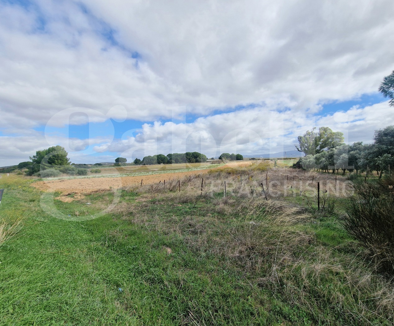 immagine annuncio 4 di 9