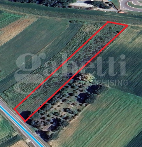 immagine annuncio 7 di 9