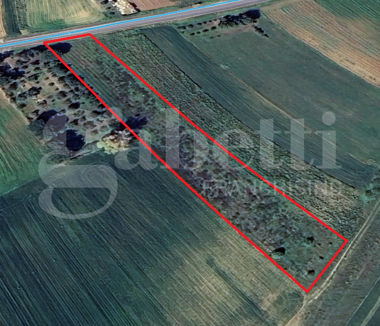 immagine annuncio 8 di 9