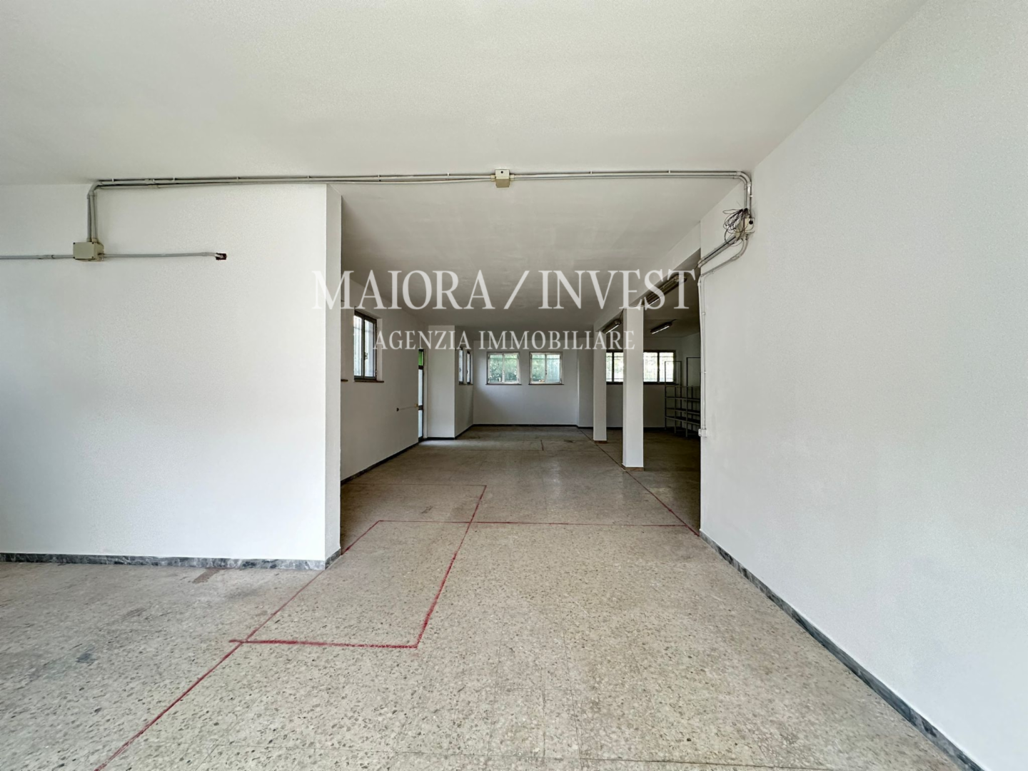 immagine annuncio 1 di 6