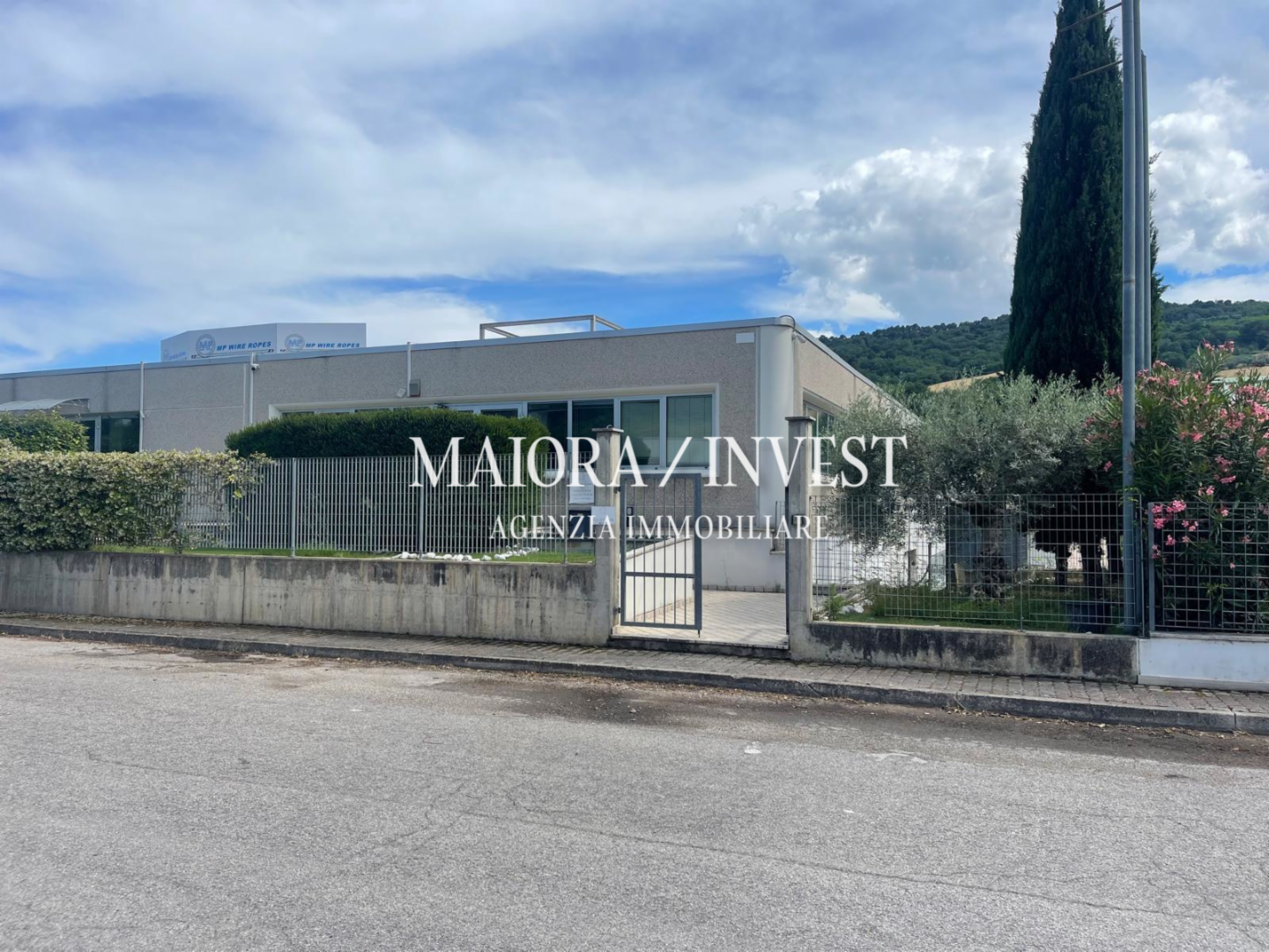 immagine annuncio 8 di 9