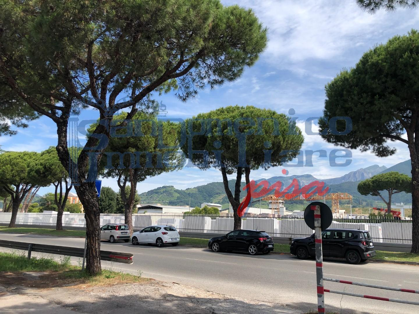 immagine annuncio 4 di 6