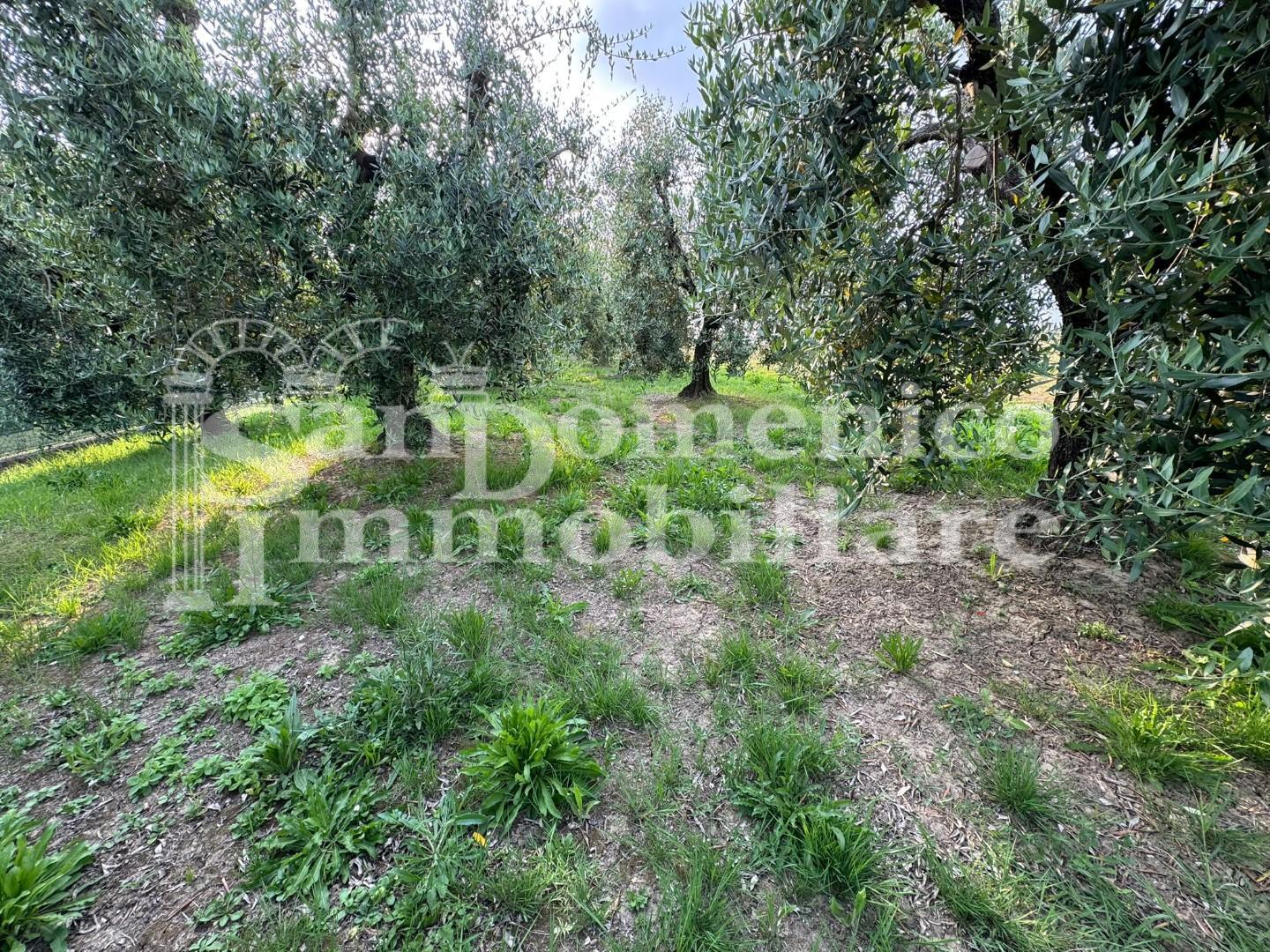 casale in vendita a Cascina in zona Ripoli
