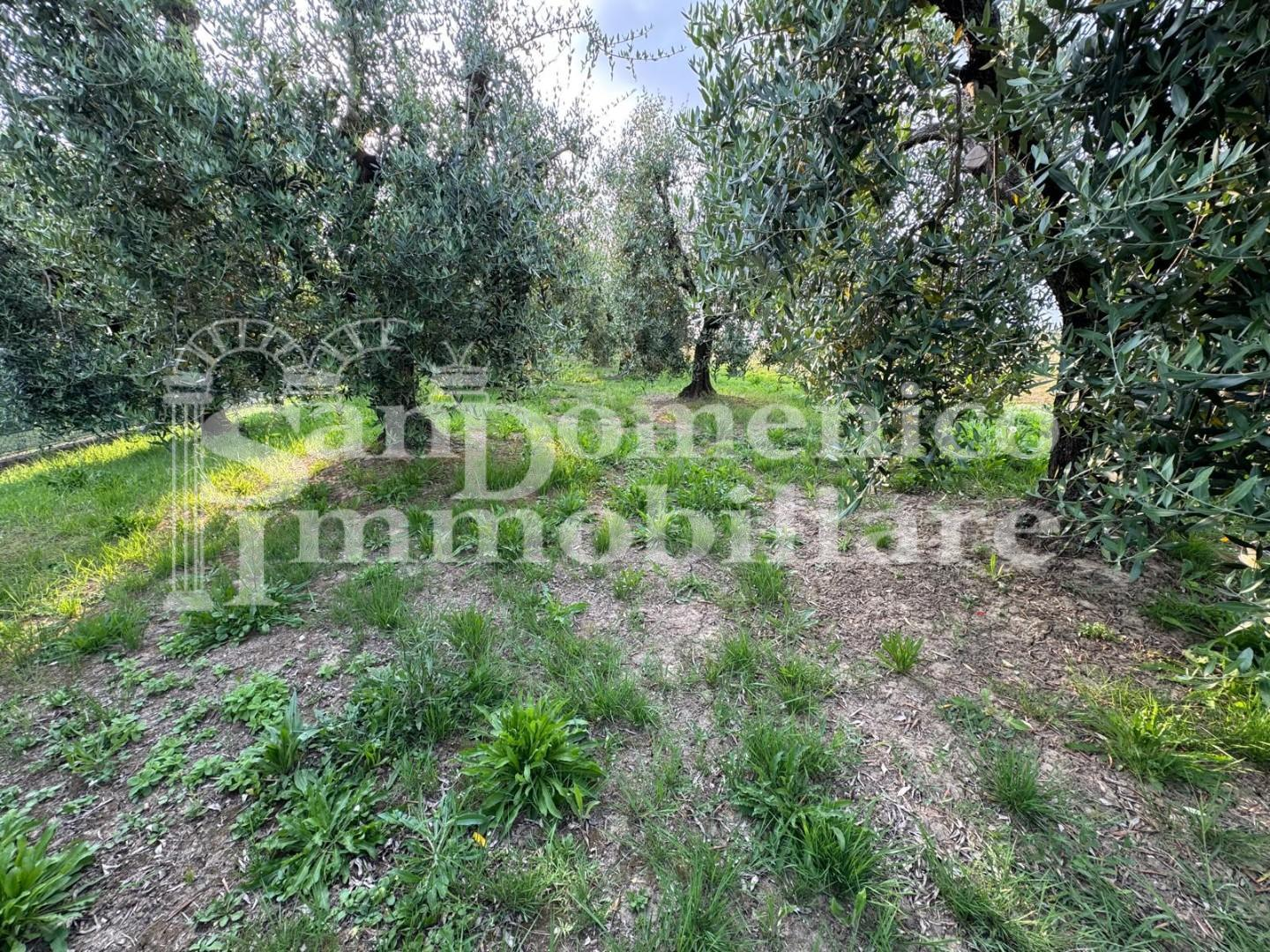 casale in vendita a Cascina in zona Ripoli