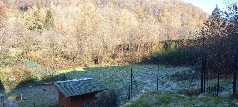immagine annuncio 3 di 6