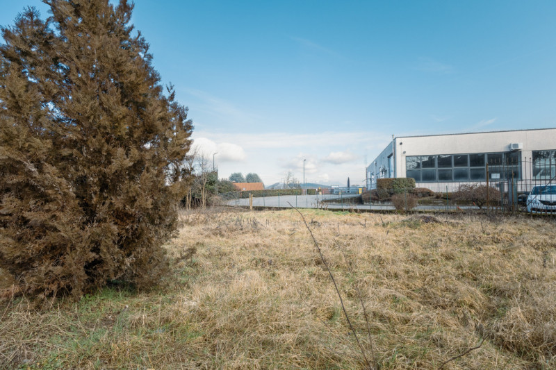 immagine annuncio 4 di 9