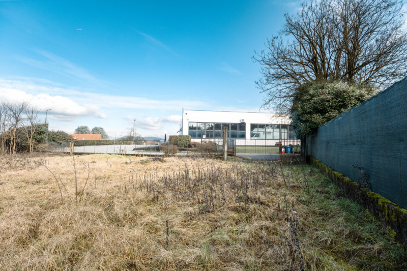 immagine annuncio 3 di 9