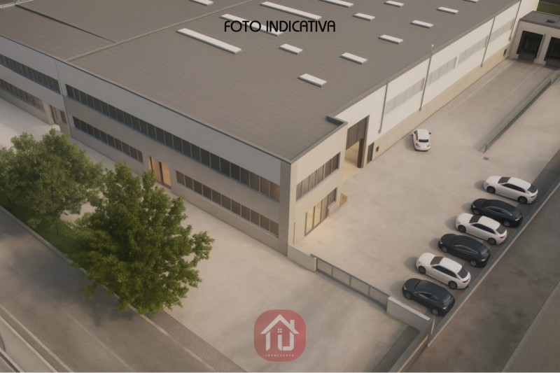 immagine annuncio 3 di 10